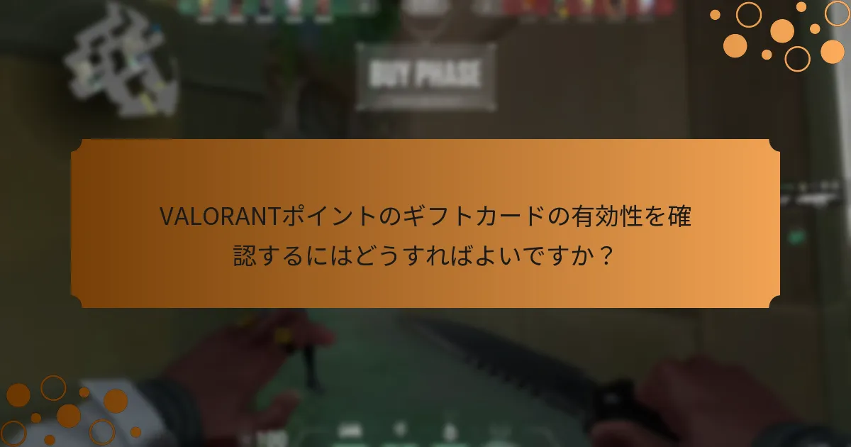 VALORANTポイントのギフトカードに利用できる検証方法は何ですか？